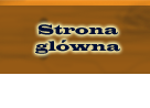 strona główna
